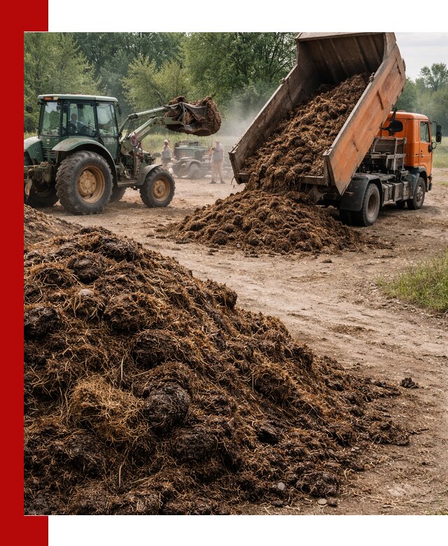 Доставка навоза самосвалами в Тейково для сельхозпотребностей